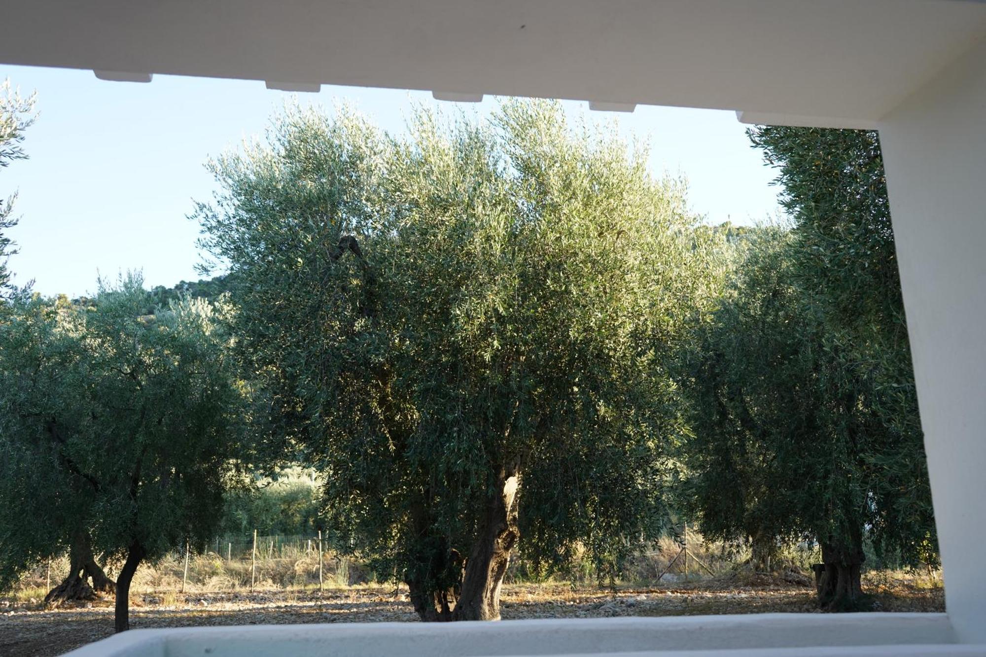 Olive&Sea Villa-Olive Маттината Экстерьер фото