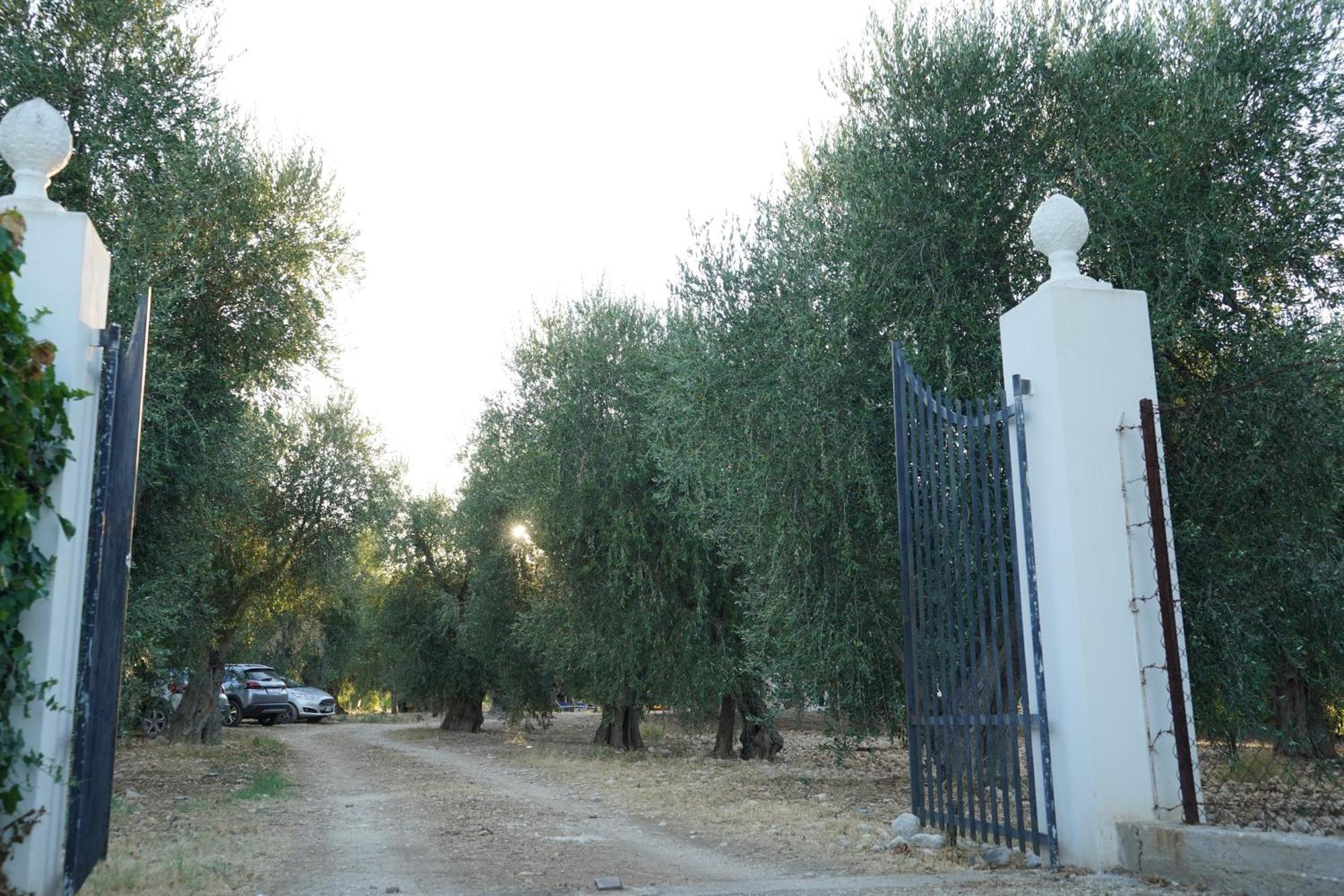 Olive&Sea Villa-Olive Маттината Экстерьер фото