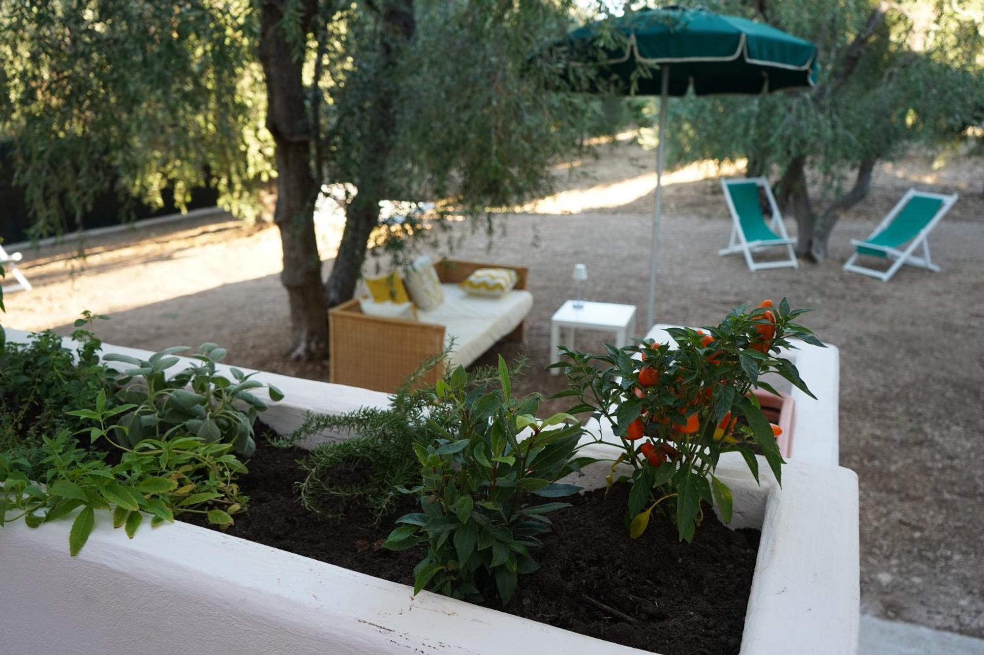 Olive&Sea Villa-Olive Маттината Экстерьер фото