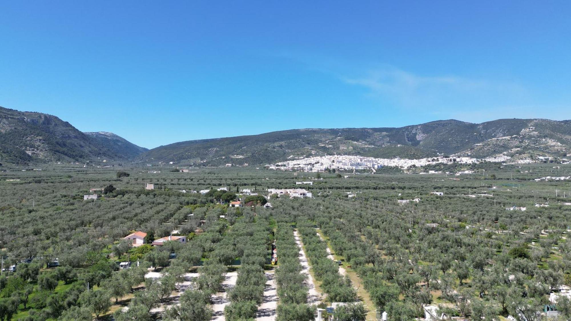 Olive&Sea Villa-Olive Маттината Экстерьер фото