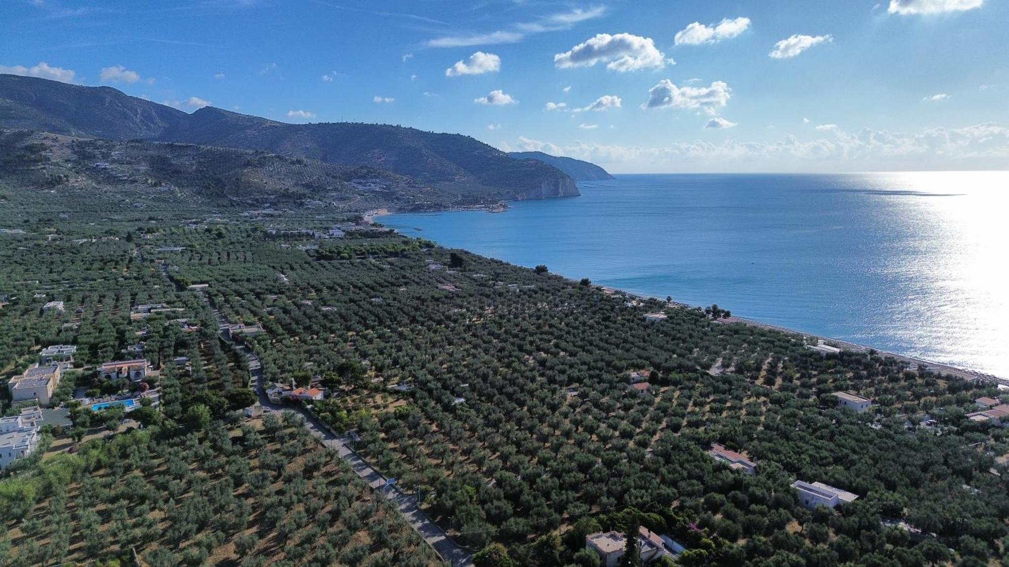 Olive&Sea Villa-Olive Маттината Экстерьер фото
